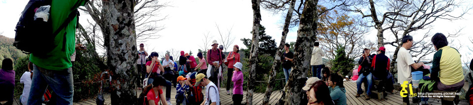 山毛櫸觀景平台美食街.jpg 山毛櫸觀景平台美食街.jpg