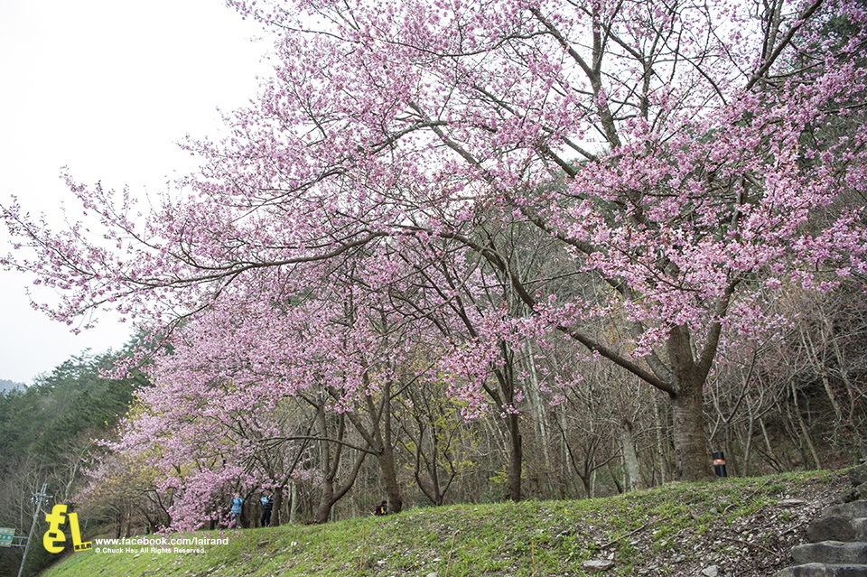 『食記』C'est Bon散步小河岸法式甜點(宜蘭冬山) 『食記』C'est Bon散步小河岸法式甜點(宜蘭冬山)