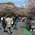 拍拍拍拍拍（上野櫻花祭）.jpg