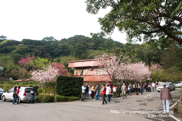 熱鬧的程度不輸名勝古蹟(2011淡水天元宮探花況).jpg