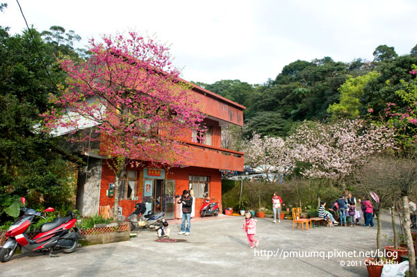 院子裡也是很熱鬧(2011淡水天元宮探花況).jpg