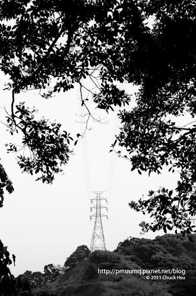 拍一張黑白的電塔(富陽生態公園).jpg