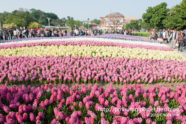 花海VS人海(2010台北花博 Taipei Expo).jpg