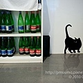 水瓶座的貓.jpg