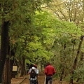 森林散步道（吉祥寺-井之頭公園）.jpg