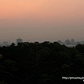 遠方隱約可看到台大小巨蛋的屋頂(富陽生態公園).jpg