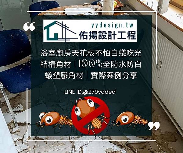 白蟻吃光天花板.jpg 白蟻吃光天花板.jpg