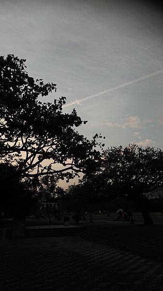 IMAG3523.jpg
