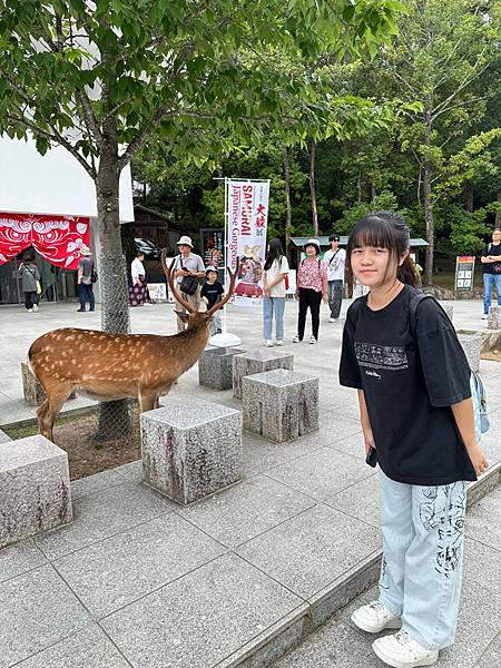 2025日本大阪京都行（三）奈良鹿公園、大阪城公園、道頓崛、