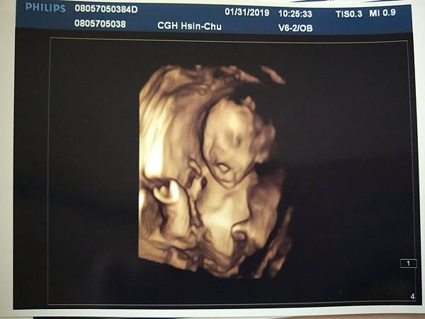 IMG_20190131_133607.jpg IMG_20190131_133607.jpg