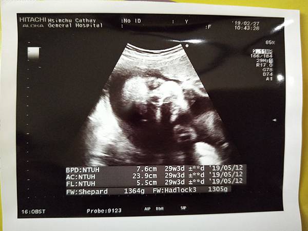 IMG20190313120050.jpg IMG20190313120050.jpg