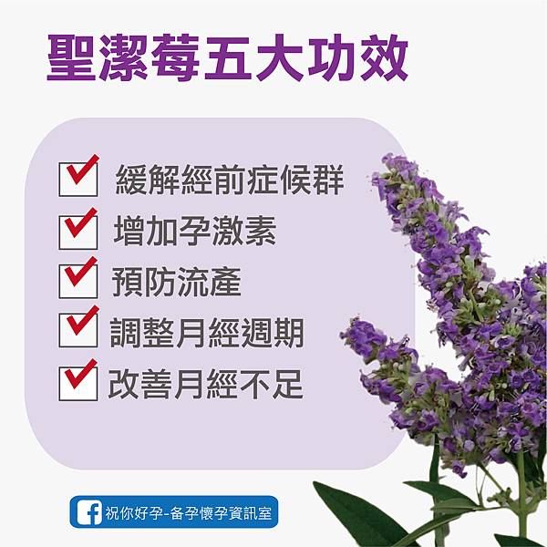 聖潔莓-02.jpg 聖潔莓-02.jpg