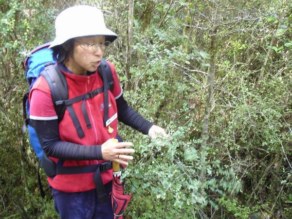 Hiking Guide Yoshie