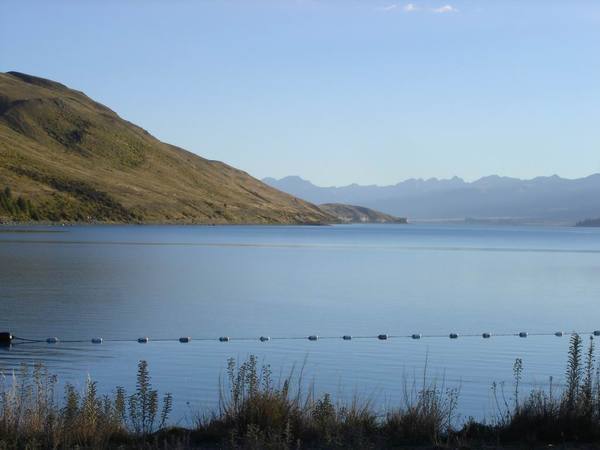 早晨的Lake Tekapo