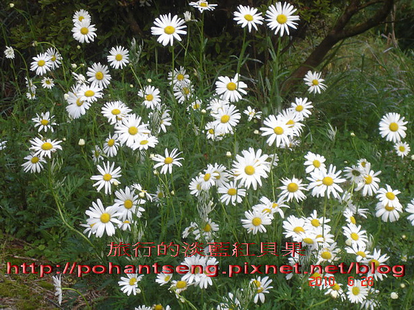 10DSC07644_調整大小.jpg 10DSC07644_調整大小.jpg