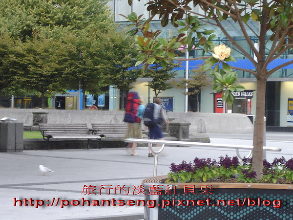 2DSC05597_調整大小.jpg 2DSC05597_調整大小.jpg