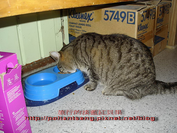 1調整大小DSC05984.jpg 1調整大小DSC05984.jpg