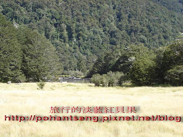 7調整大小DSC05895.jpg 7調整大小DSC05895.jpg