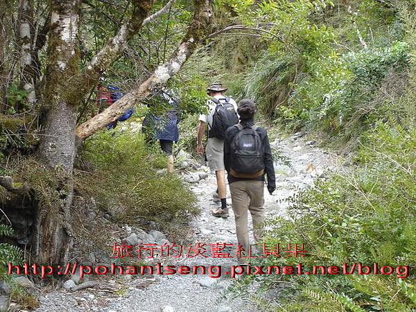14調整大小DSC05933.jpg 14調整大小DSC05933.jpg