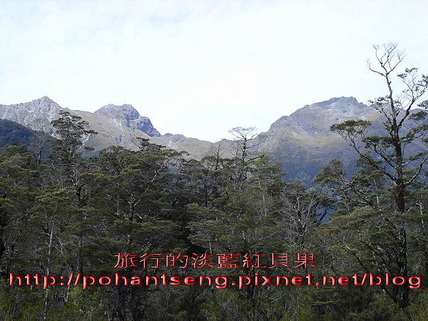 15調整大小DSC05912.jpg 15調整大小DSC05912.jpg