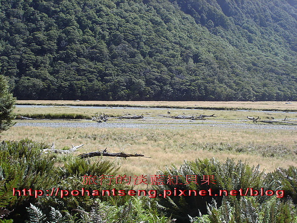 12DSC05691_調整大小.jpg 12DSC05691_調整大小.jpg