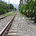 Nantou_161.JPG