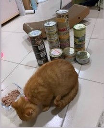 70505806_565677377510408_3034019151921283072_n.jpg 70505806_565677377510408_3034019151921283072_n.jpg