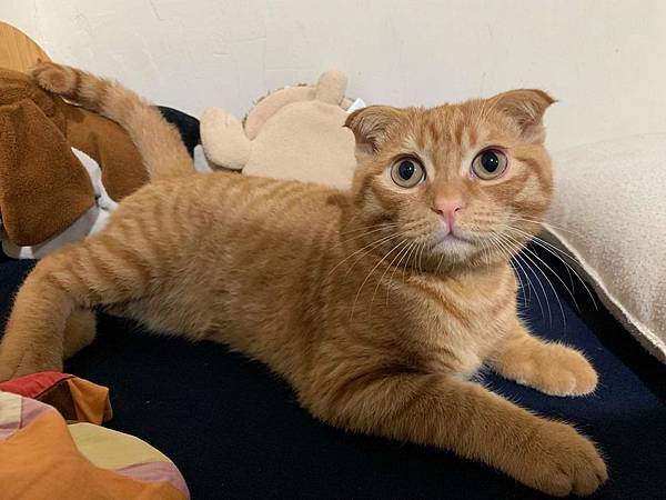 71205028_2414378222114338_5741760878294859776_n.jpg 71205028_2414378222114338_5741760878294859776_n.jpg