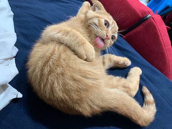 70578789_2424796641142574_7967667193145982976_n.jpg 70578789_2424796641142574_7967667193145982976_n.jpg