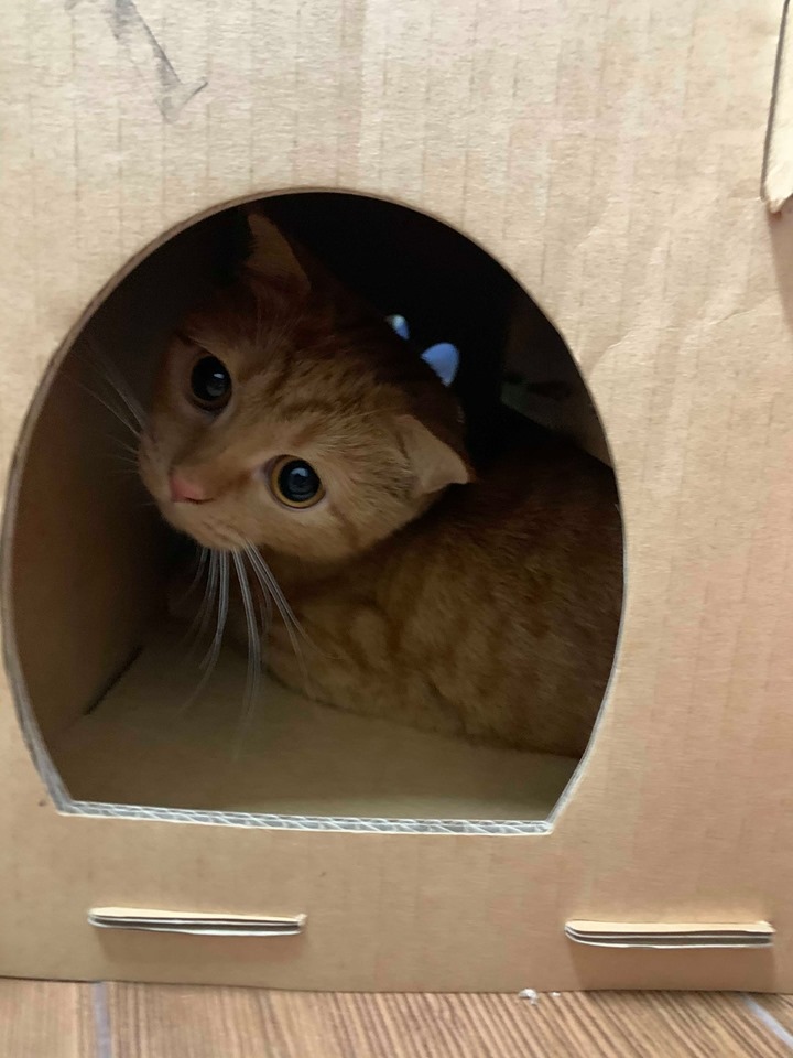 75210201_414948369218622_1304157915963195392_n.jpg 75210201_414948369218622_1304157915963195392_n.jpg