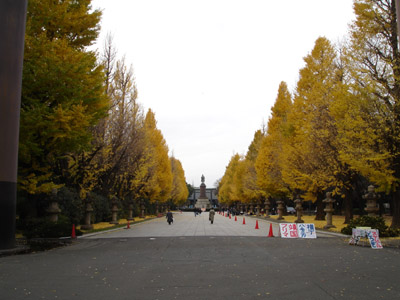 DSC04753.JPG