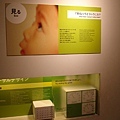 DSC05160.JPG