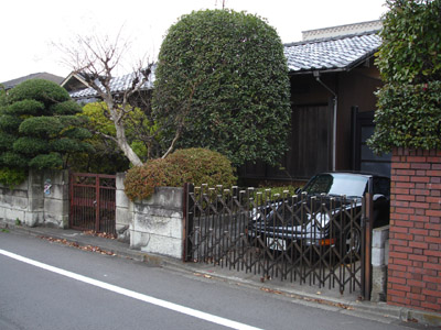 DSC05581.JPG
