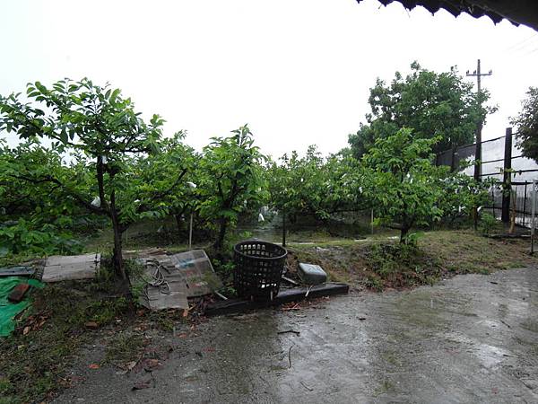 SAM_0250 SAM_0250