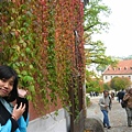 4_4Krumlov (26).JPG