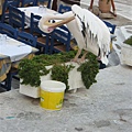 20080829 Mykonos (42).JPG