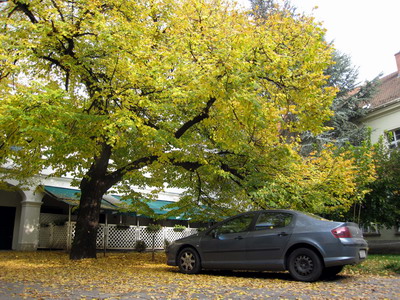 20101017 DAY12_006.JPG