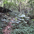 20110904採金古道_005.jpg