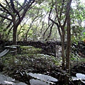 20110904採金古道_009.JPG