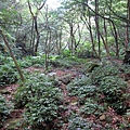 20110904採金古道_038.JPG