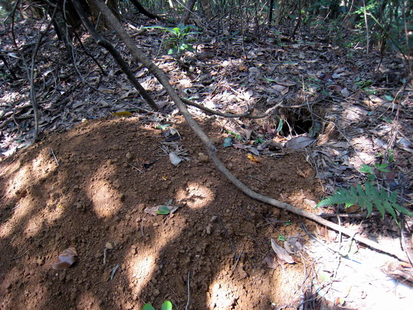 20110904採金古道_082.JPG