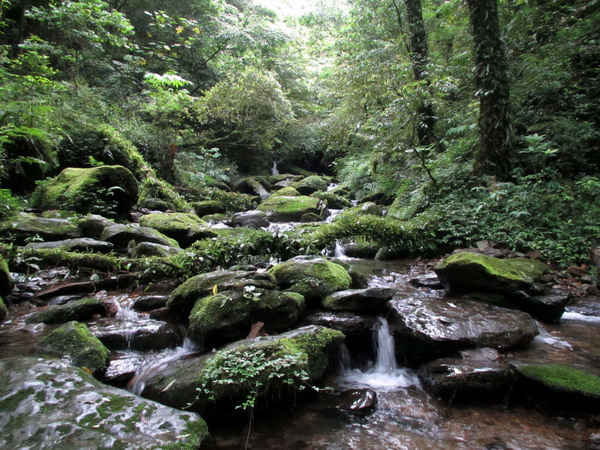 20120512北插天山_060