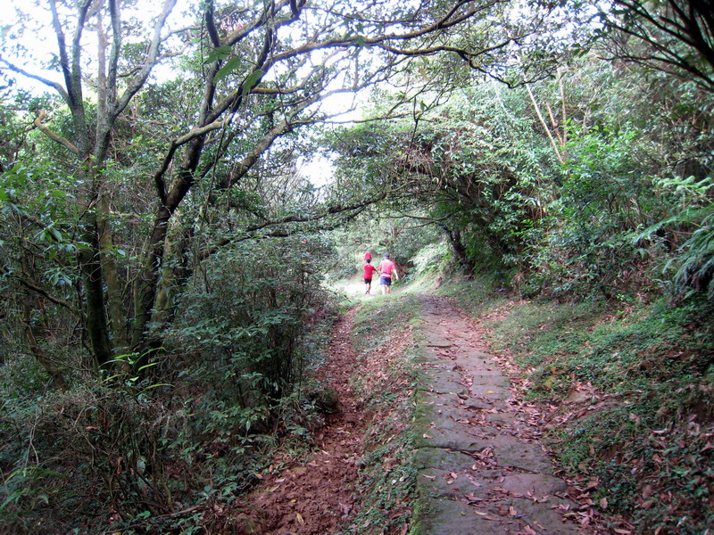 20121027東進陽明山026