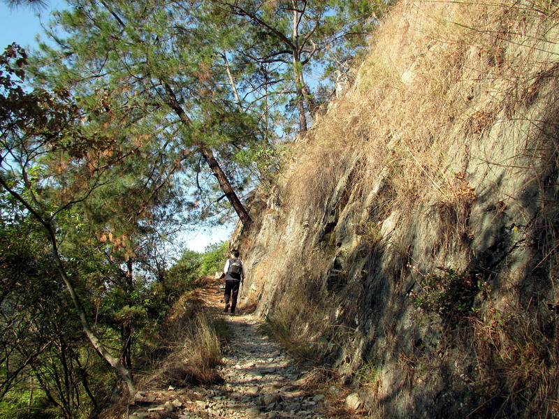 20130224東卯山008