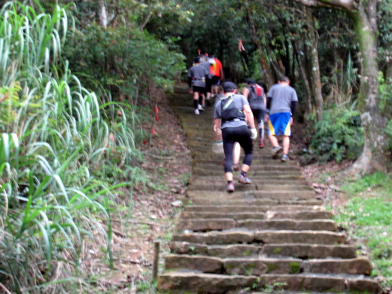 20130519碧山山徑越野025