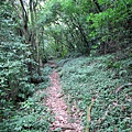 20130609竹子山古道004