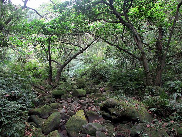 20130609竹子山古道023