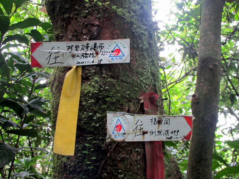 20130609竹子山古道024