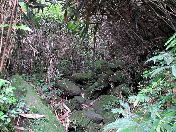 20130609竹子山古道031