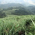 20130609竹子山古道061